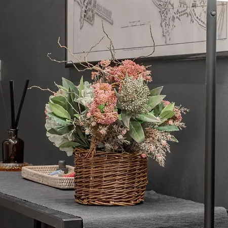 H11 Charm Sanremo-ariston *