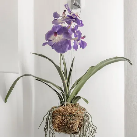 Apartment H11 Charm Sanremo-ariston *